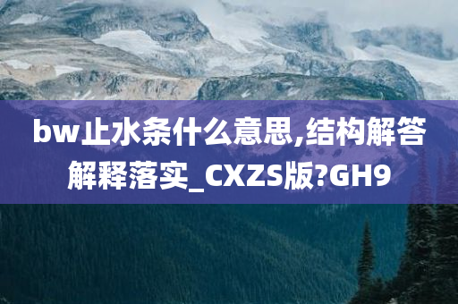 bw止水条什么意思,结构解答解释落实_CXZS版?GH9