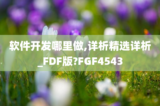 软件开发哪里做,详析精选详析_FDF版?FGF4543