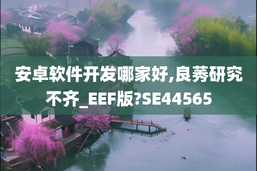 安卓软件开发哪家好,良莠研究不齐_EEF版?SE44565