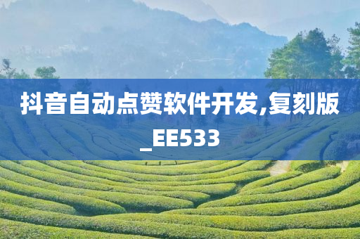 抖音自动点赞软件开发,复刻版_EE533