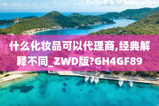 什么化妆品可以代理商,经典解释不同_ZWD版?GH4GF89