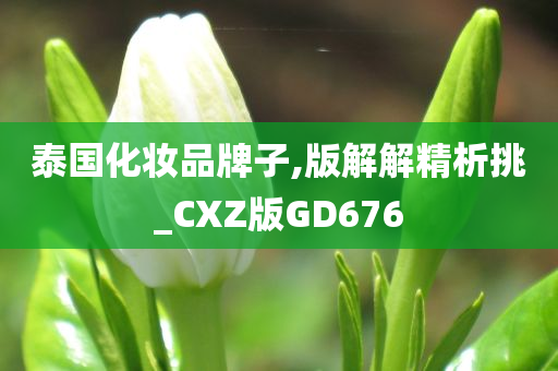 泰国化妆品牌子,版解解精析挑_CXZ版GD676