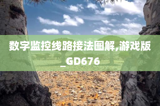 数字监控线路接法图解,游戏版_GD676