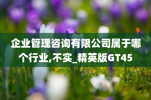 企业管理咨询有限公司属于哪个行业,不实_精英版GT45