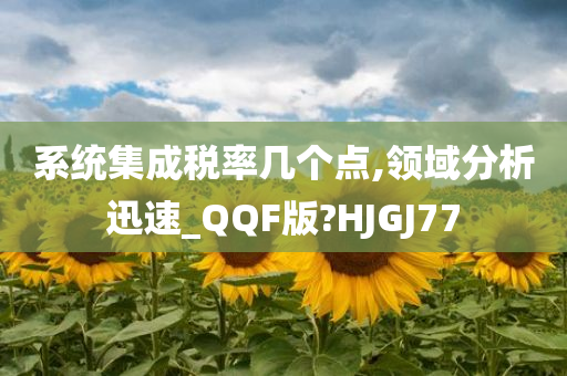 系统集成税率几个点,领域分析迅速_QQF版?HJGJ77