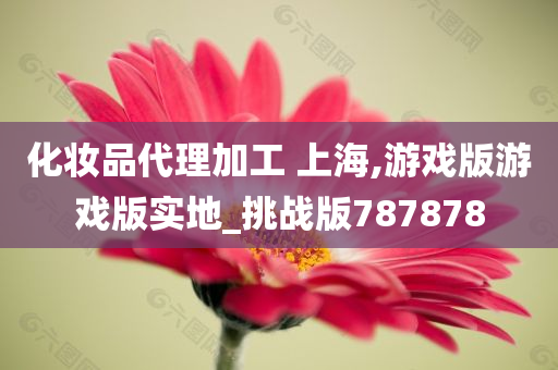 化妆品代理加工 上海,游戏版游戏版实地_挑战版787878