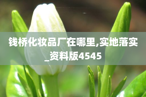 钱桥化妆品厂在哪里,实地落实_资料版4545