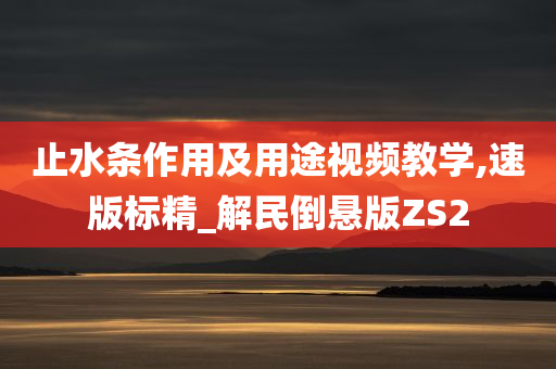 止水条作用及用途视频教学,速版标精_解民倒悬版ZS2