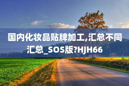 国内化妆品贴牌加工,汇总不同汇总_SOS版?HJH66