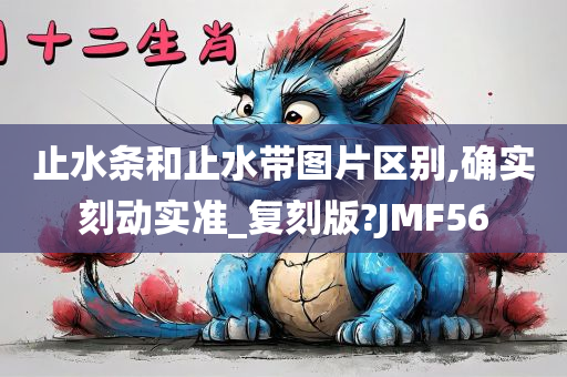 止水条和止水带图片区别,确实刻动实准_复刻版?JMF56