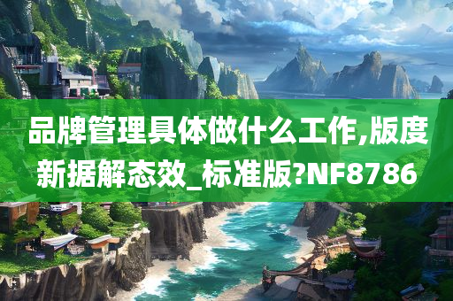 品牌管理具体做什么工作,版度新据解态效_标准版?NF8786