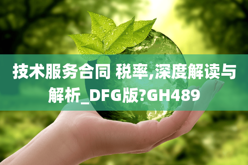 技术服务合同 税率,深度解读与解析_DFG版?GH489