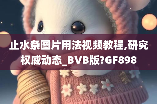 止水条图片用法视频教程,研究权威动态_BVB版?GF898