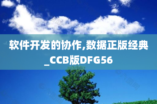 软件开发的协作,数据正版经典_CCB版DFG56