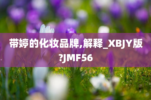 带婷的化妆品牌,解释_XBJY版?JMF56