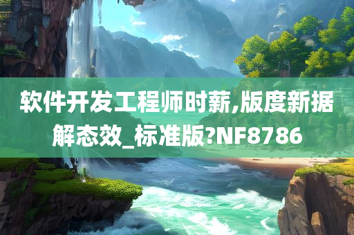 软件开发工程师时薪,版度新据解态效_标准版?NF8786