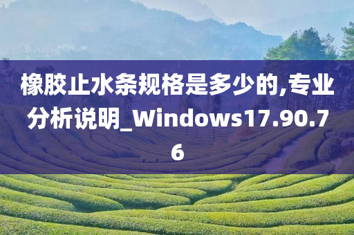 橡胶止水条规格是多少的,专业分析说明_Windows17.90.76