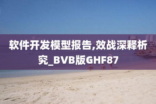 软件开发模型报告,效战深释析究_BVB版GHF87