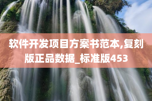 软件开发项目方案书范本,复刻版正品数据_标准版453