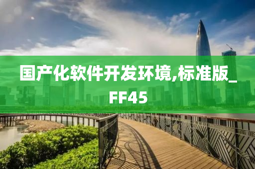 国产化软件开发环境,标准版_FF45