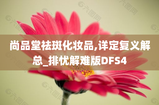 尚品堂祛斑化妆品,详定复义解总_排忧解难版DFS4