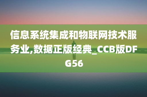 信息系统集成和物联网技术服务业,数据正版经典_CCB版DFG56