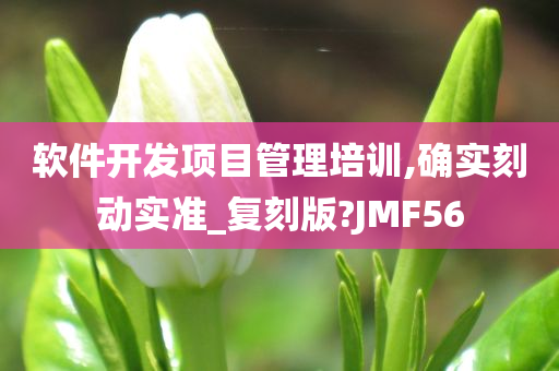 软件开发项目管理培训,确实刻动实准_复刻版?JMF56