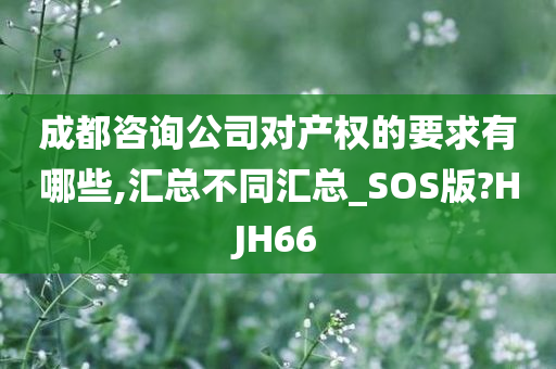 成都咨询公司对产权的要求有哪些,汇总不同汇总_SOS版?HJH66