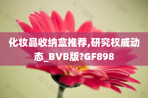 化妆品收纳盒推荐,研究权威动态_BVB版?GF898