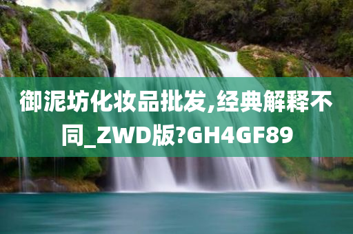 御泥坊化妆品批发,经典解释不同_ZWD版?GH4GF89