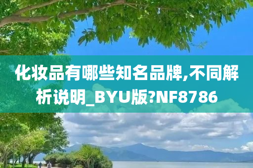 化妆品有哪些知名品牌,不同解析说明_BYU版?NF8786