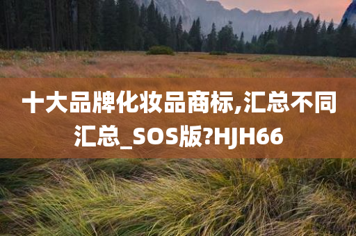 十大品牌化妆品商标,汇总不同汇总_SOS版?HJH66