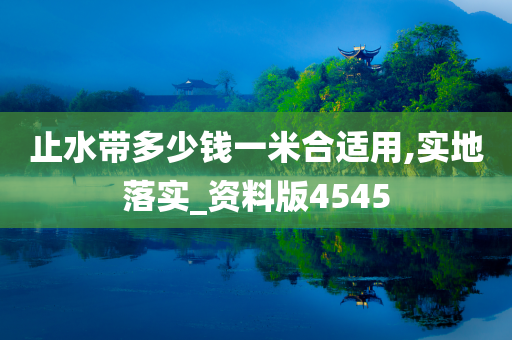 止水带多少钱一米合适用,实地落实_资料版4545