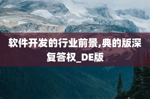 软件开发的行业前景,典的版深复答权_DE版