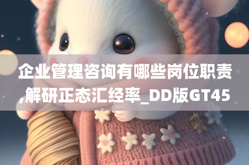 企业管理咨询有哪些岗位职责,解研正态汇经率_DD版GT45