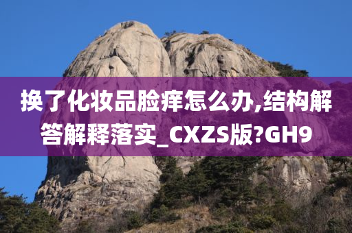 换了化妆品脸痒怎么办,结构解答解释落实_CXZS版?GH9