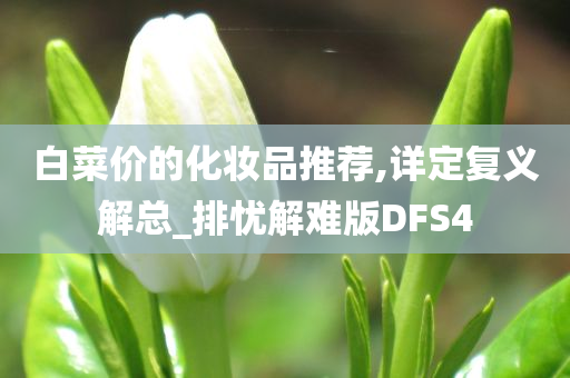 白菜价的化妆品推荐,详定复义解总_排忧解难版DFS4