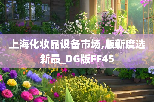 上海化妆品设备市场,版新度选新最_DG版FF45