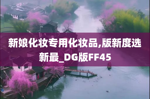 新娘化妆专用化妆品,版新度选新最_DG版FF45