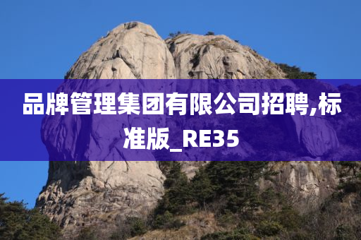 品牌管理集团有限公司招聘,标准版_RE35