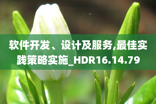 软件开发、设计及服务,最佳实践策略实施_HDR16.14.79