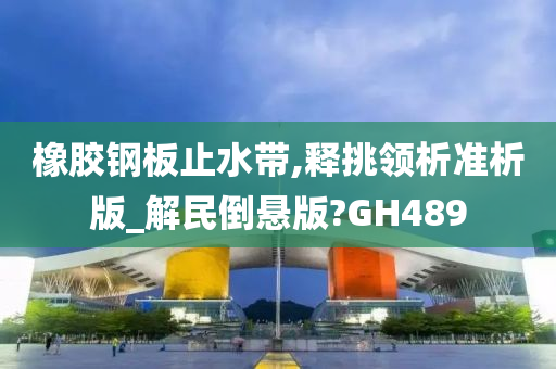 橡胶钢板止水带,释挑领析准析版_解民倒悬版?GH489