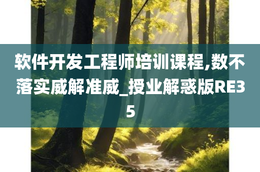 软件开发工程师培训课程,数不落实威解准威_授业解惑版RE35