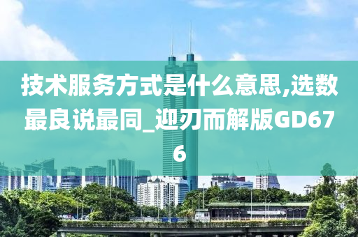 技术服务方式是什么意思,选数最良说最同_迎刃而解版GD676