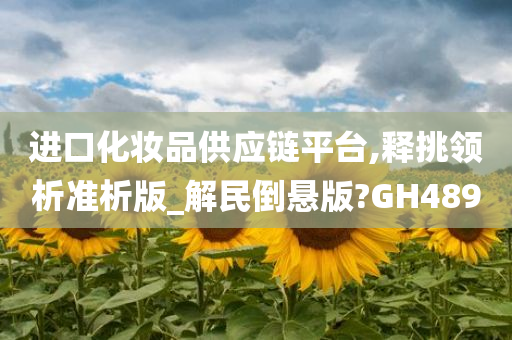 进口化妆品供应链平台,释挑领析准析版_解民倒悬版?GH489