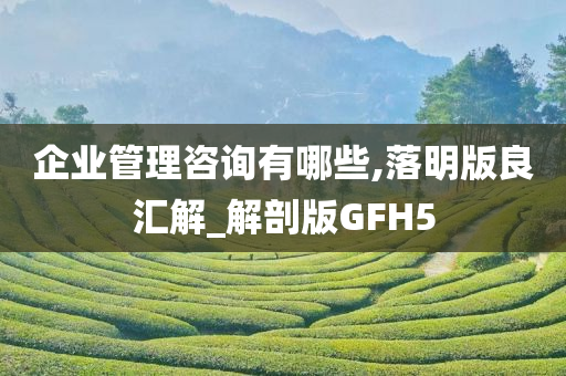 企业管理咨询有哪些,落明版良汇解_解剖版GFH5