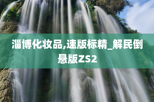 淄博化妆品,速版标精_解民倒悬版ZS2