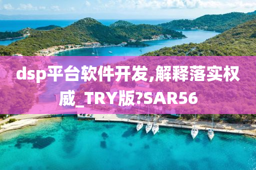 dsp平台软件开发,解释落实权威_TRY版?SAR56