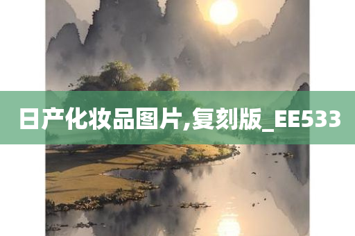 日产化妆品图片,复刻版_EE533