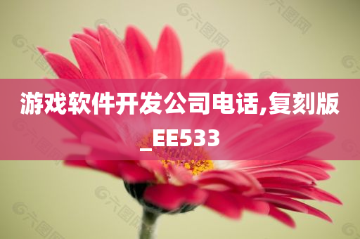 游戏软件开发公司电话,复刻版_EE533